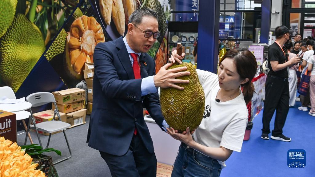 鲨王软件能赢钱吗